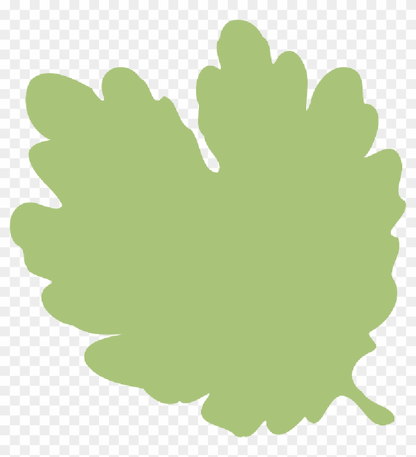 Forest Background Png Clipart
