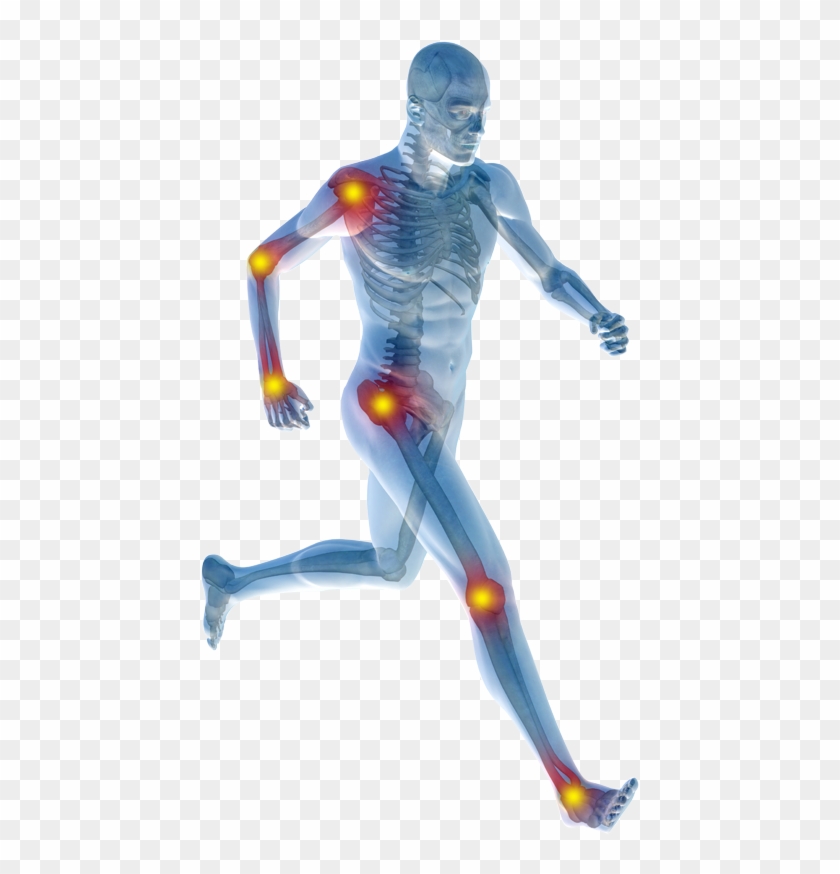 Download Human Body Clipart 1853778 Pikpng