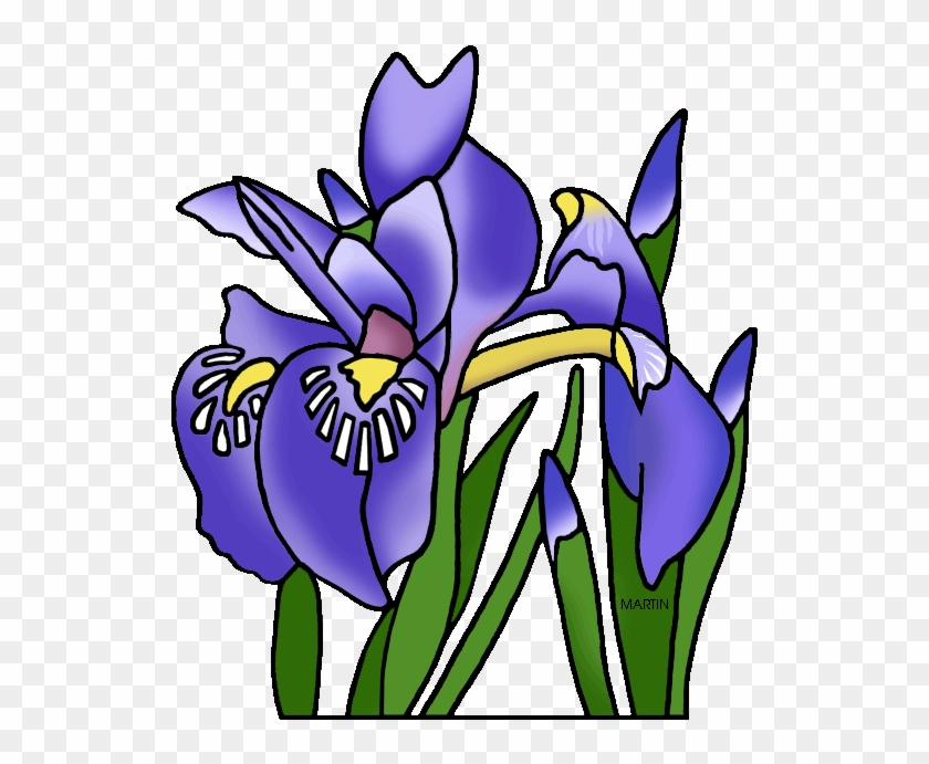 Michigan State Wild Flower Dwarf Lake Iris Clipart #1854039