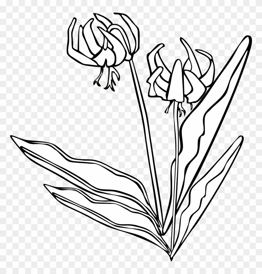 Outline Wild Flowers Png Clipart #1854197