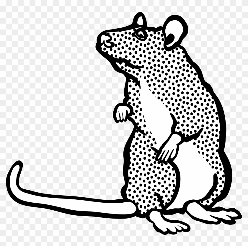 2400 X 2325 2 - Mouse Lineart Clipart