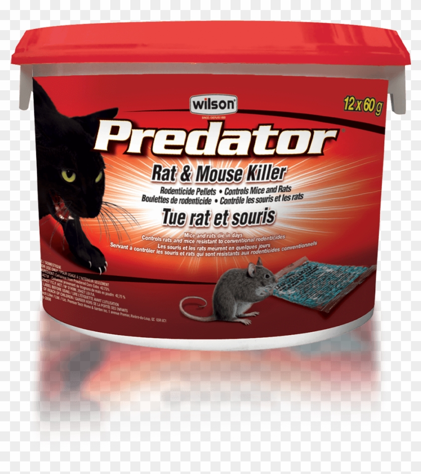 Wilson Predator Rat Mouse Killer Pellets - Rat Clipart #1854779