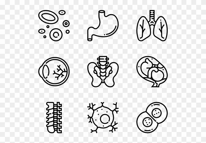 Human Organs Clipart