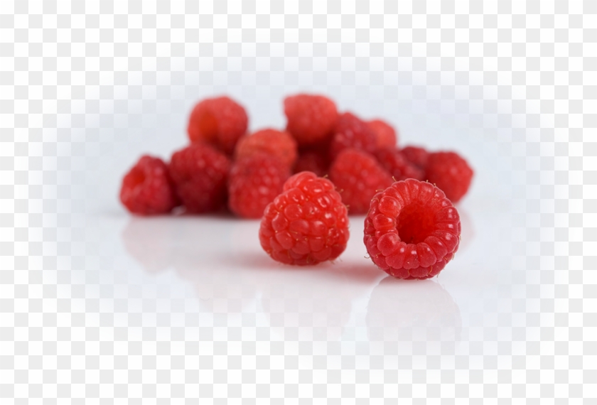 Frutti Di Bosco Clipart