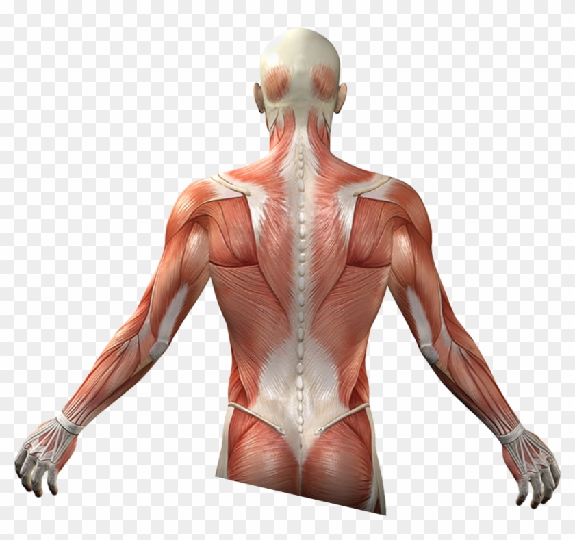 Each Body's Needs Clipart #1856488