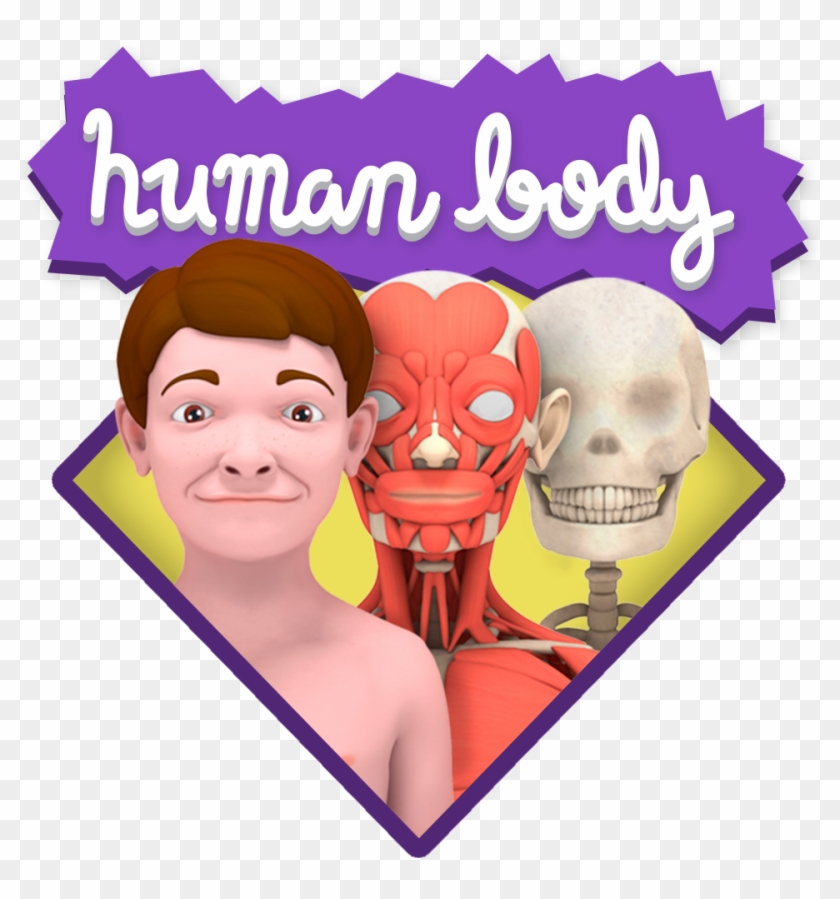 Human Body Png Clipart #1856817