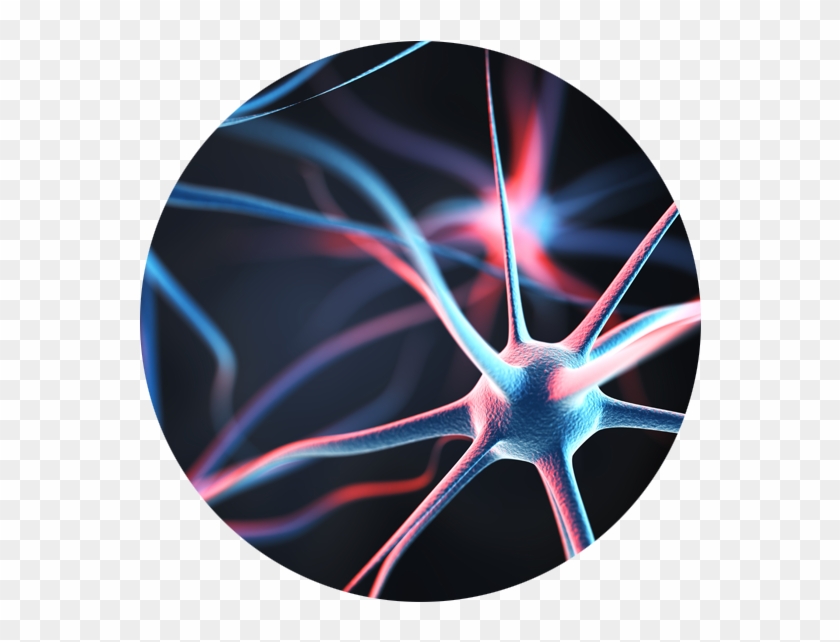 An Artistic Image Of Nerves In The Human Body , Png Clipart