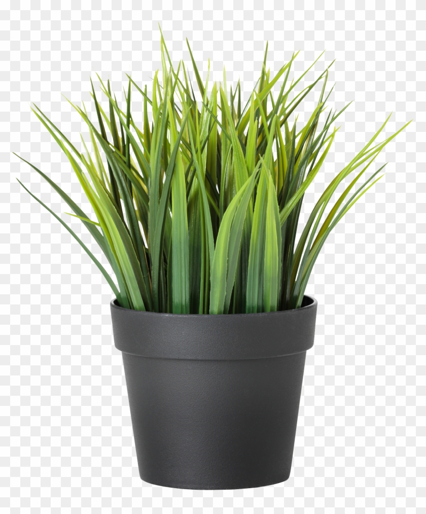 Potted Plants Clipart Transparent Background - Png Download #1857024