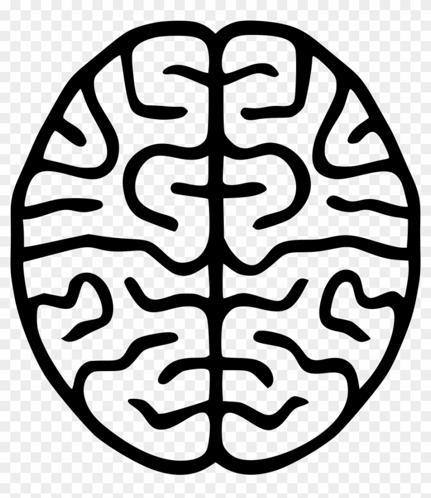Схематичное изображение мозга