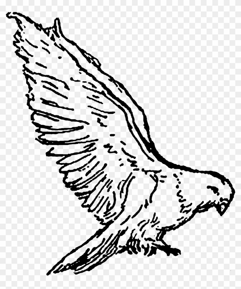 Vector Free Clipart Doves - Png Download #1858211