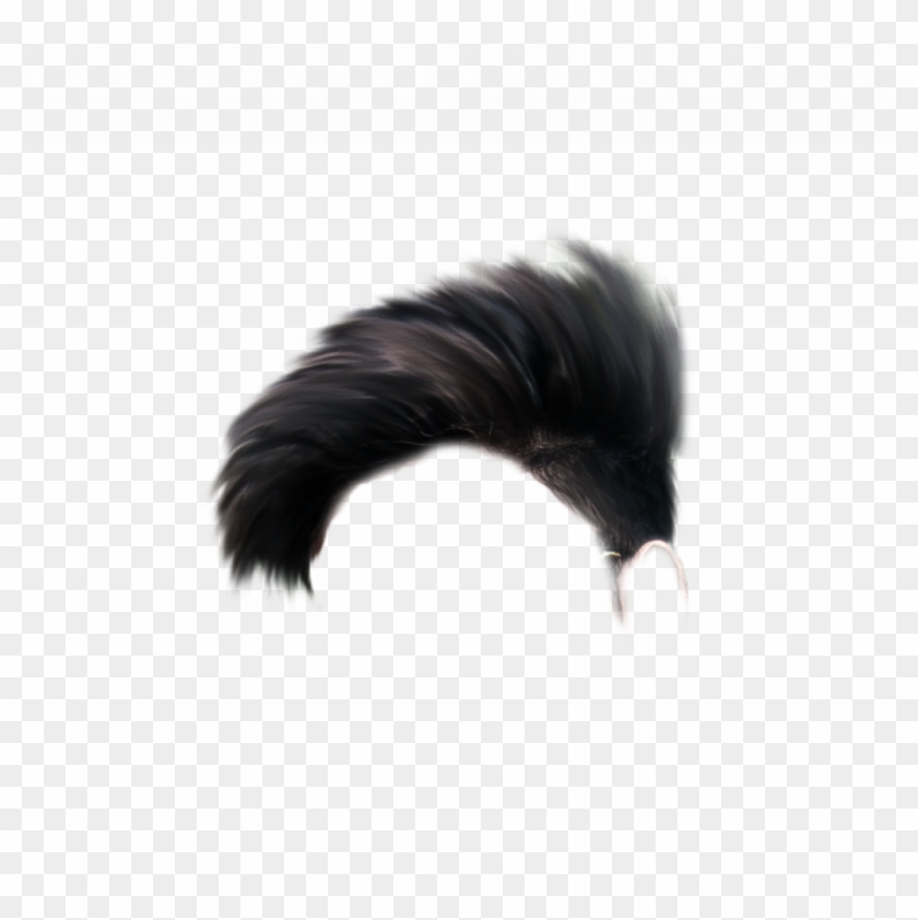 Badland Hair Png Wingman Editing Background Wingman Photo