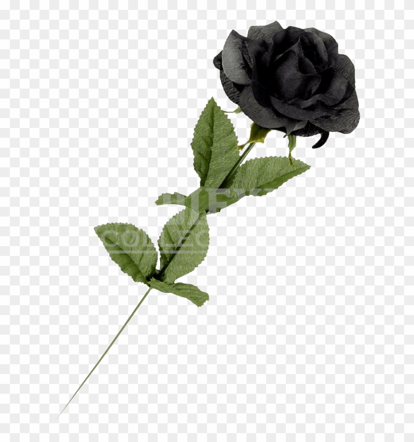 Black Roses Png Clipart #1858952