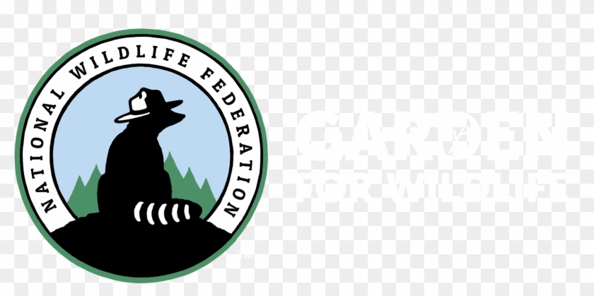 Logan Lerman Png Clipart