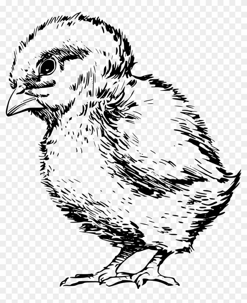 Big Image - Baby Chicken Clipart #1860757