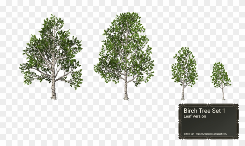 Pond Pine , Png Download Clipart #1861482
