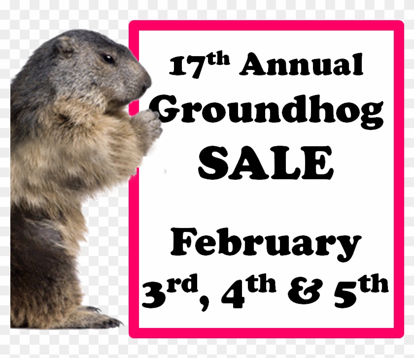 This - Gopher Clipart