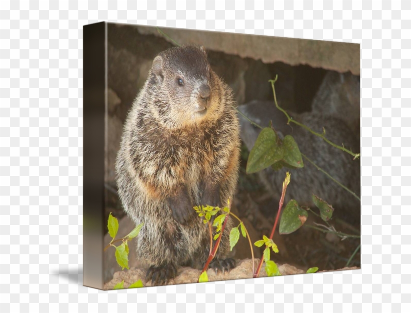 Baby By Marvin D Clipart #1862426