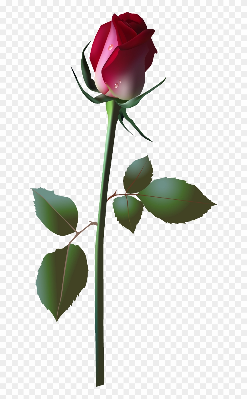 Pink Rose Vector Clipart