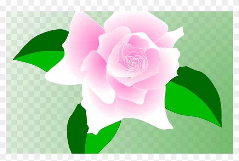 Free Rose Vector, Download Free Clip Art, Free Clip - Png Download #1864955