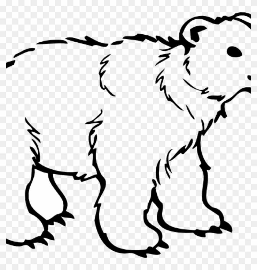 Polar Bear Clipart Free 19 Polar Bear Graphic Free - Png Download