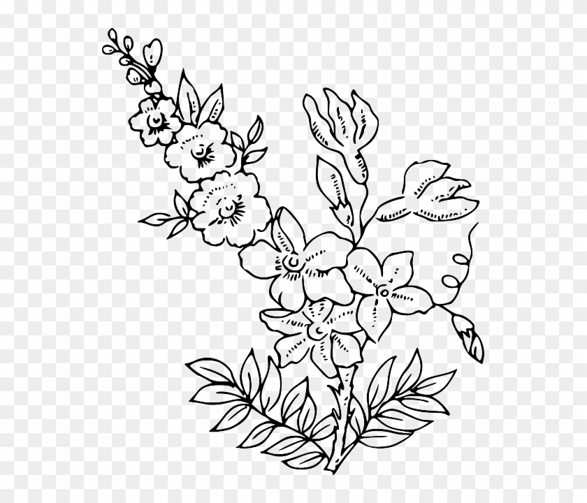 Flower Plant Blossom Public Clipart #1866674