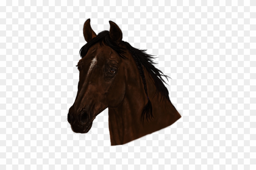 Horse Head Png - Sorrel Clipart #1867285