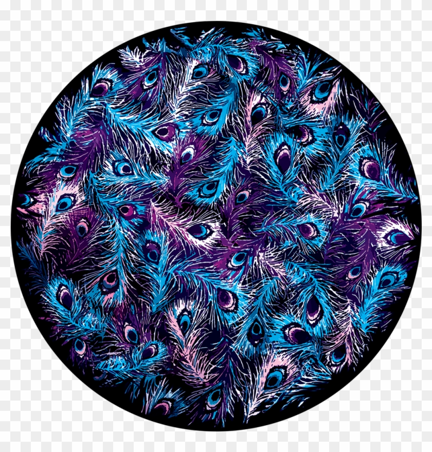 Apollo Design Cs-3466 Cool Peacock Feathers Colourscenic - Peafowl Clipart