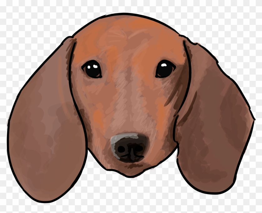 6 Why Are You A Dachshund Clipart #1868764