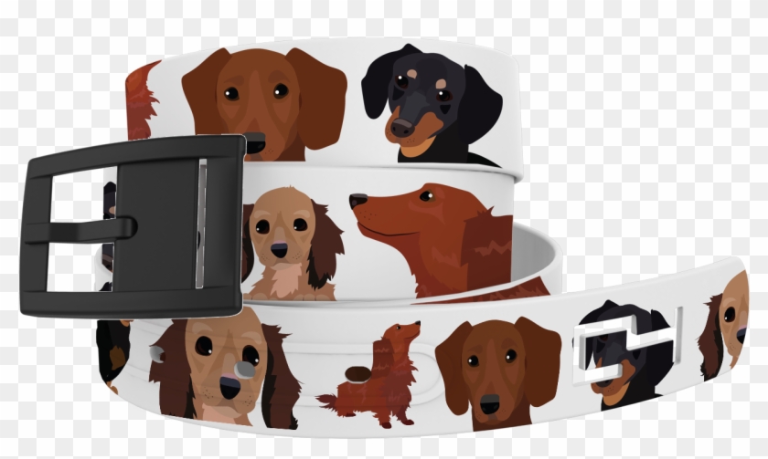 Dachshund , Png Download Clipart #1868820