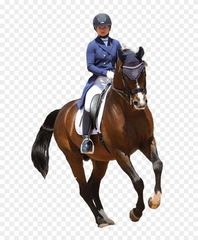 Our Trainers - Clipart