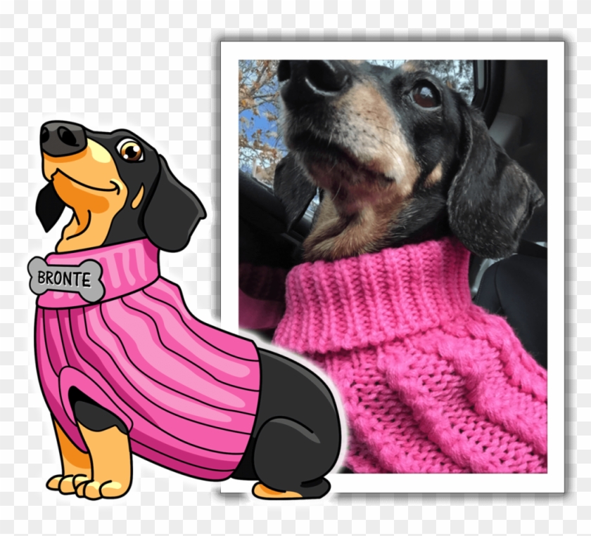 Meet Bronte, One Of Sausagemoji's Favorite Pups Clipart #1868856