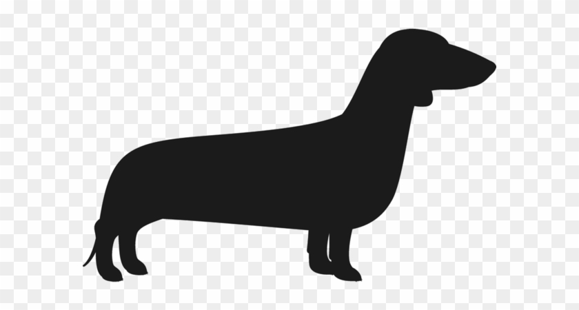 Dachshund Png Clipart