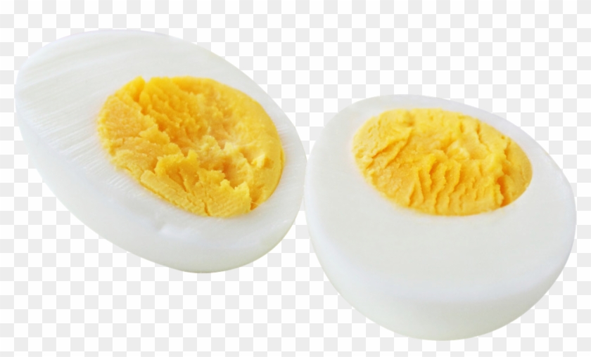 Egg Clipart