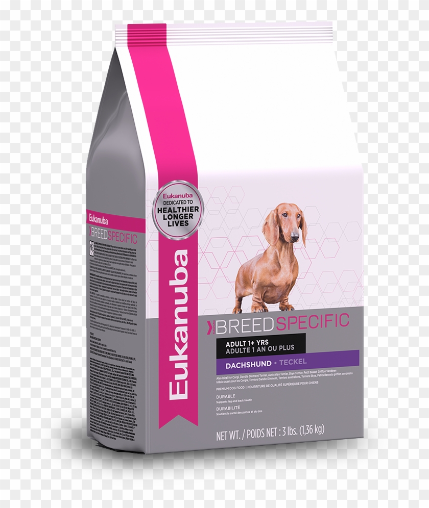 Eukanuba Dachshund Nutrition Dog Food - Companion Dog Clipart #1869101