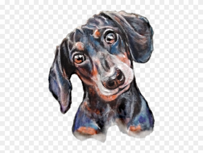 Dachshund Clipart #1869165
