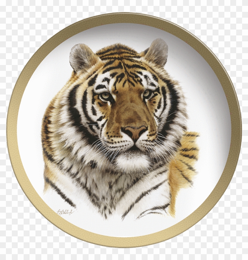 Tiger Head Png - Карандаш Голова Тигра Clipart #1869353