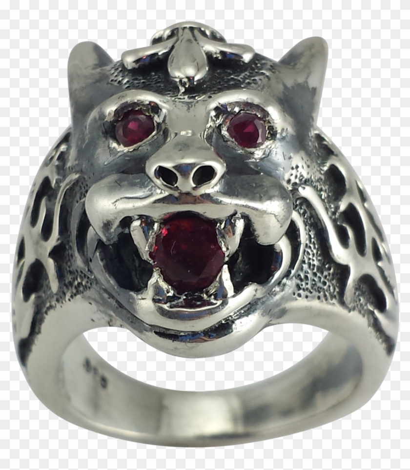 Hover Over Image To Zoom Clipart