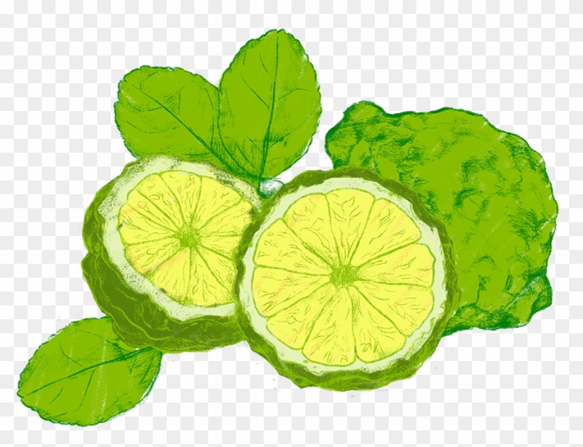 Bergamot Clipart