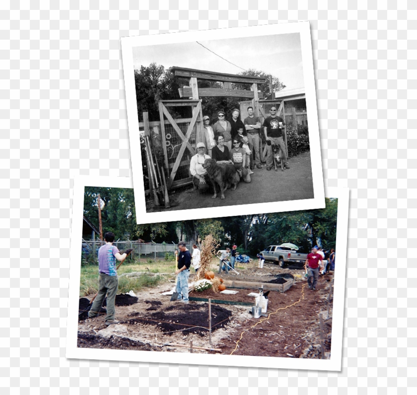 And The Story Is Told That As They Dug In To Create - Backyard Clipart #1874609