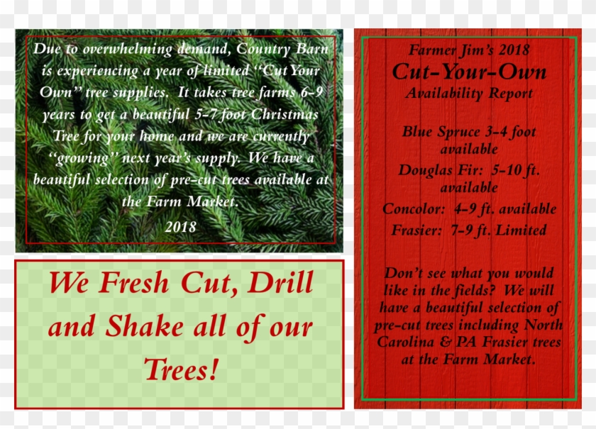 Joy Png Clipart #1876154