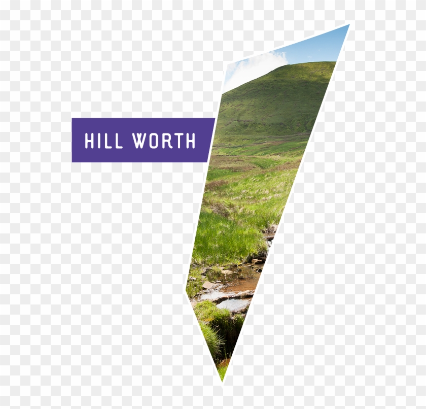 This Research Project Seeks To Understand The Value Clipart #1876887