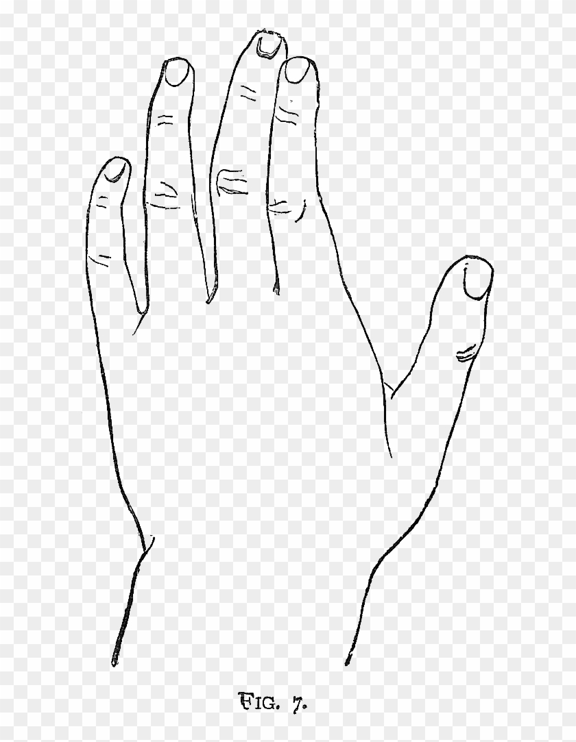 Sketch Clipart #1877550