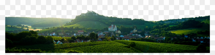 Weinviertel Clipart #1877749