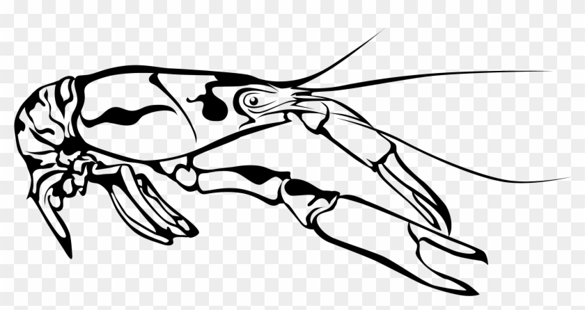 Crawfish - Clip Art - Png Download