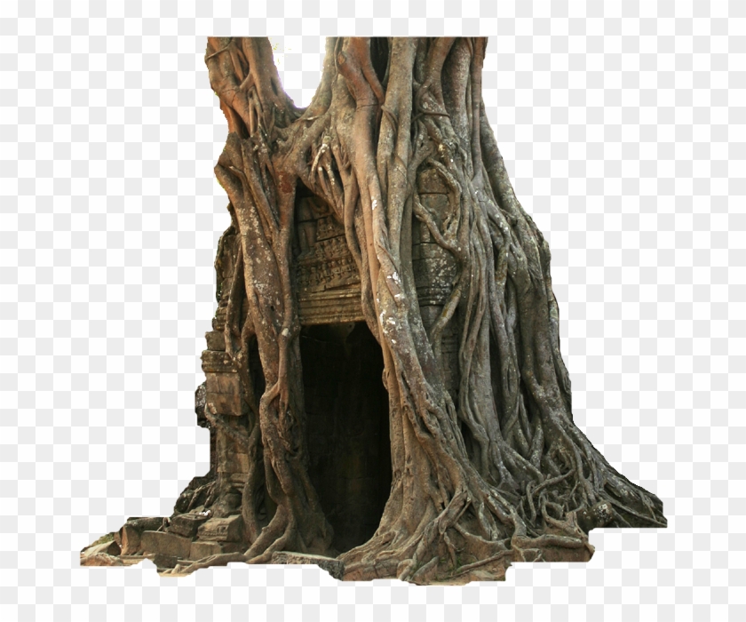 Old Hollow Tree Clipart