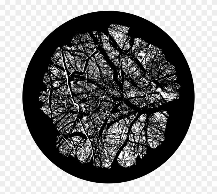 Wise Old Tree Clipart