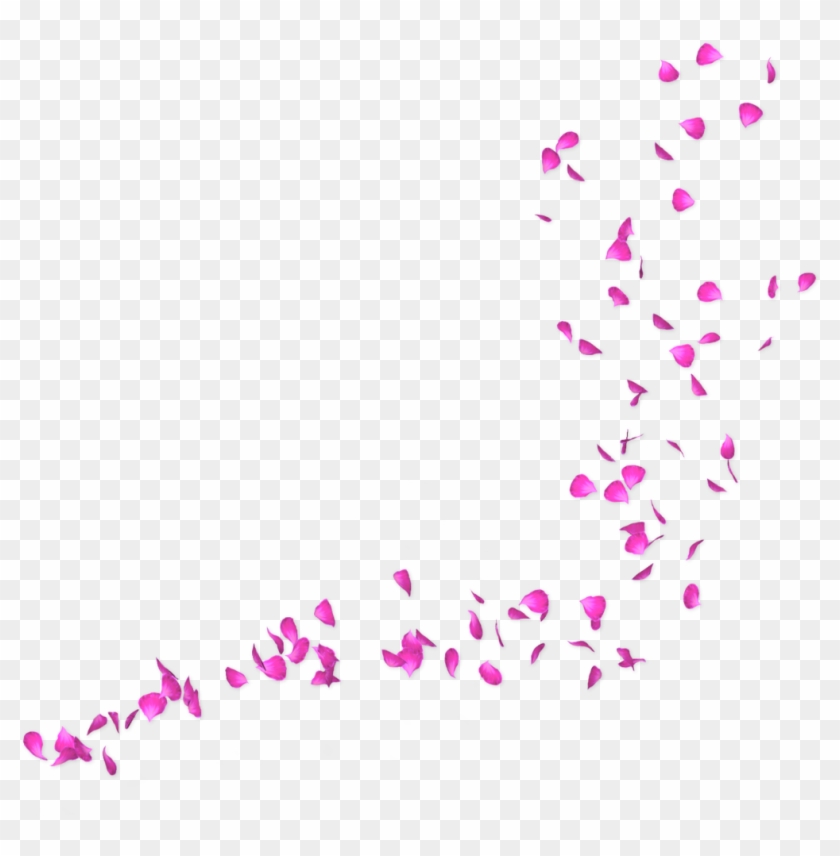 #petals #pink #falling #freetoedit - Rose Petals Falling Transparent Clipart