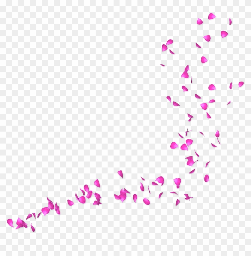 #petals #pink #falling #freetoedit - Rose Petals Falling Transparent Clipart #1879097
