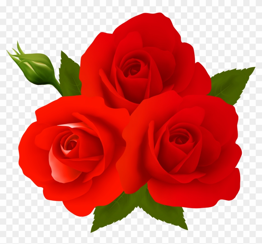 Rose Flower Images Free Download Png Png Www Cliparts - Gulab Ka Phool Download New Transparent Png #1879163