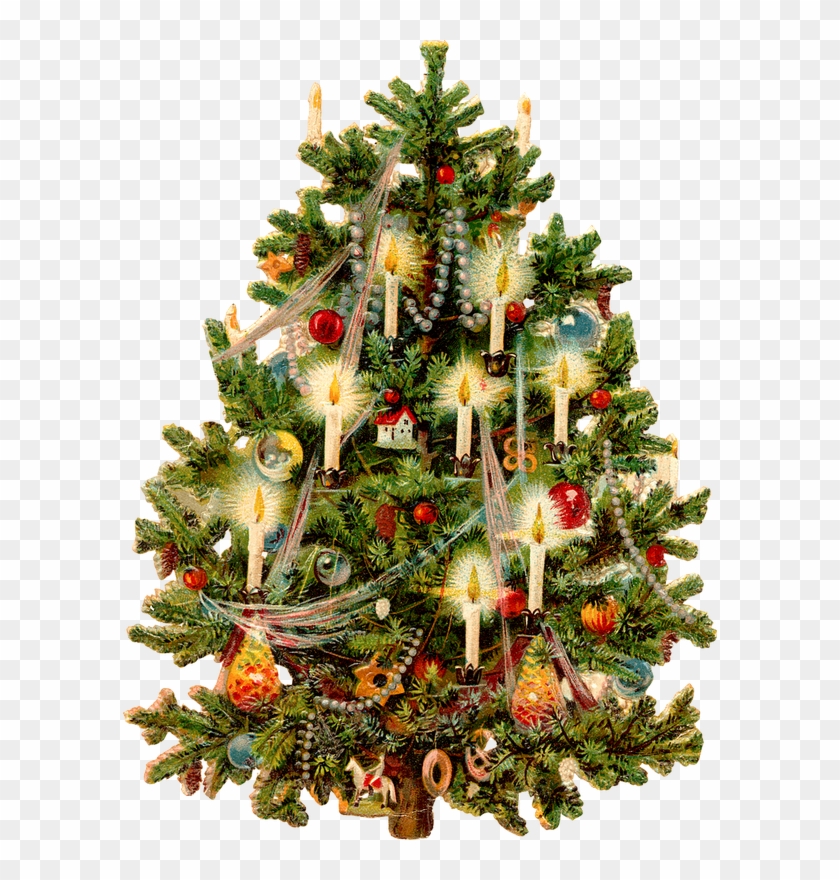Picture Library Library Victorian Tree Printable Pinterest - Victorian Christmas Tree Clip Art - Png Download